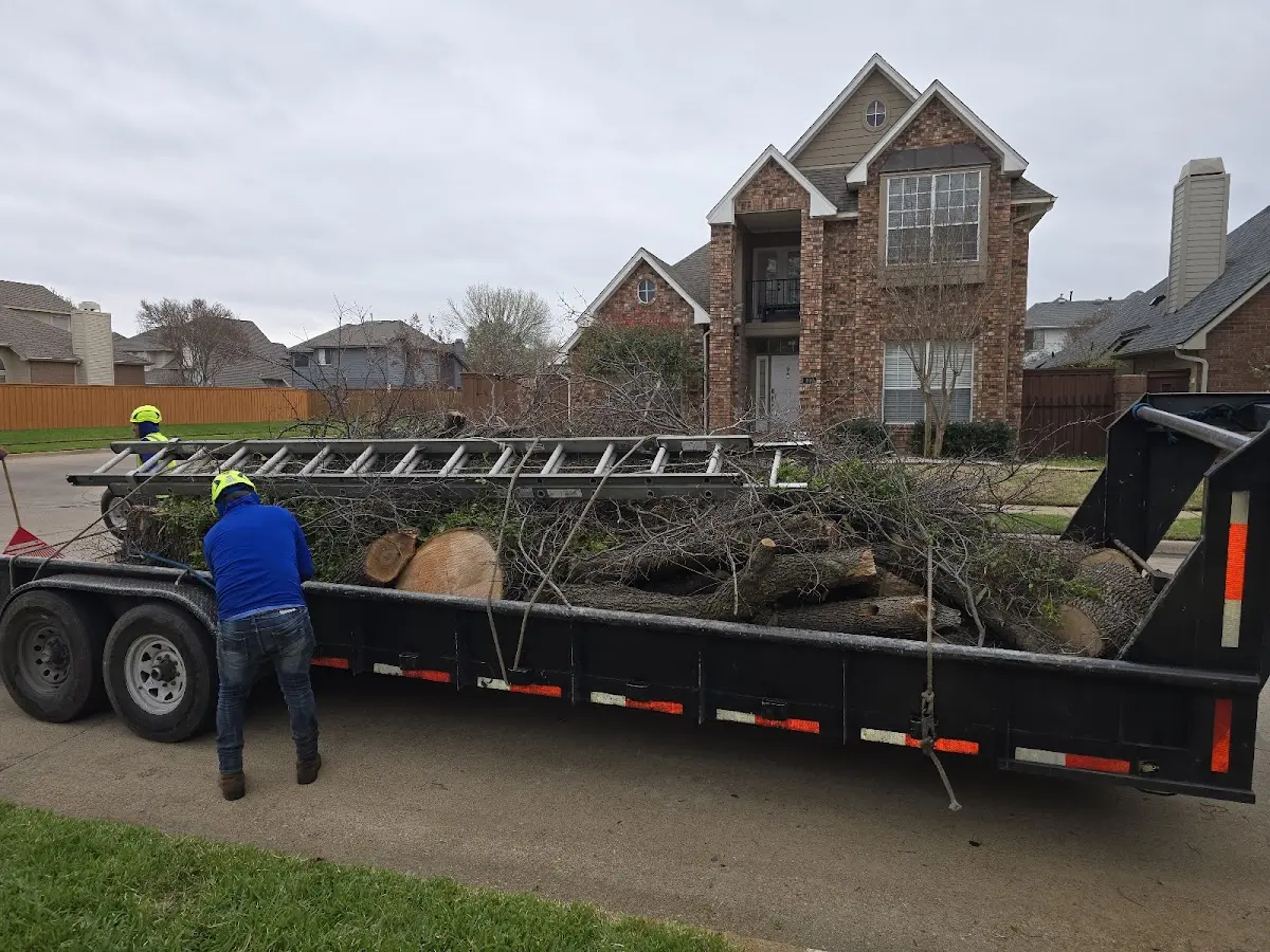Expert Tree Fertilization with proper safety equipment in Yerkes